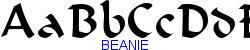 BEANIE   31K (2002-12-27)