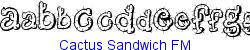 Cactus Sandwich FM  120K (2003-03-02)