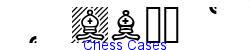 Chess Cases   27K (2007-03-16)