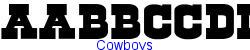 Cowboys   35K (2003-03-02)