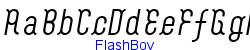 FlashBoy   10K (2003-03-02)