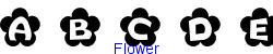 Flower   16K (2003-01-22)