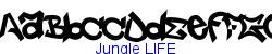 Jungle LIFE   28K (2005-11-14)