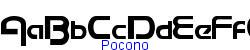 Pocono   21K (2002-12-27)