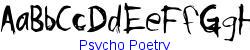 Psycho Poetry   21K (2002-12-27)