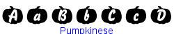 Pumpkinese   20K (2002-12-27)