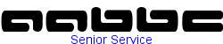 Senior Service    7K (2002-12-27)