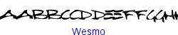 Wesmo   11K (2003-03-02)
